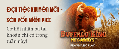 Ưu Đãi Hấp Dẫn Mỗi Ngày